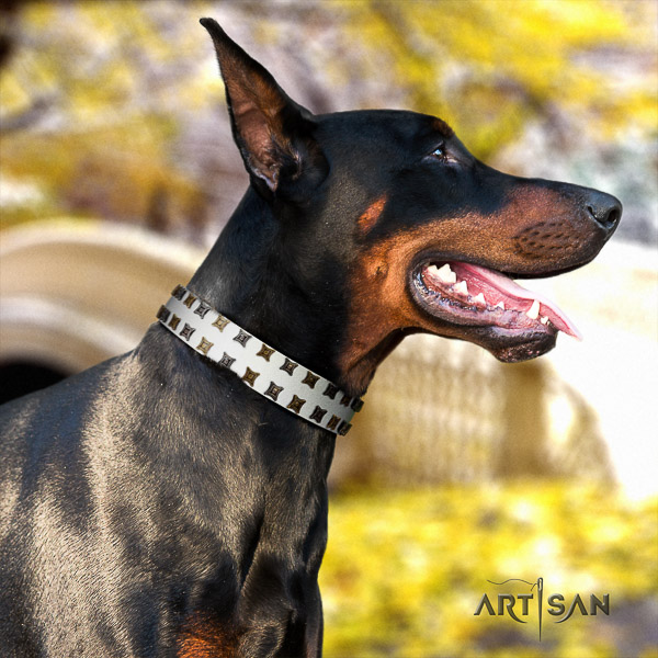 Doberman everyday use full grain leather collar with studs for your dog