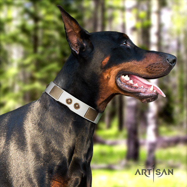 Doberman everyday walking full grain natural leather collar with studs for your canine