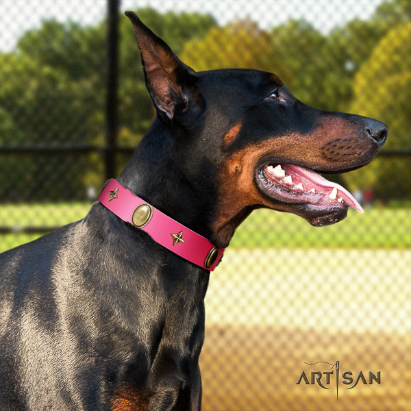 Doberman everyday walking natural leather collar with stunning studs for your doggie