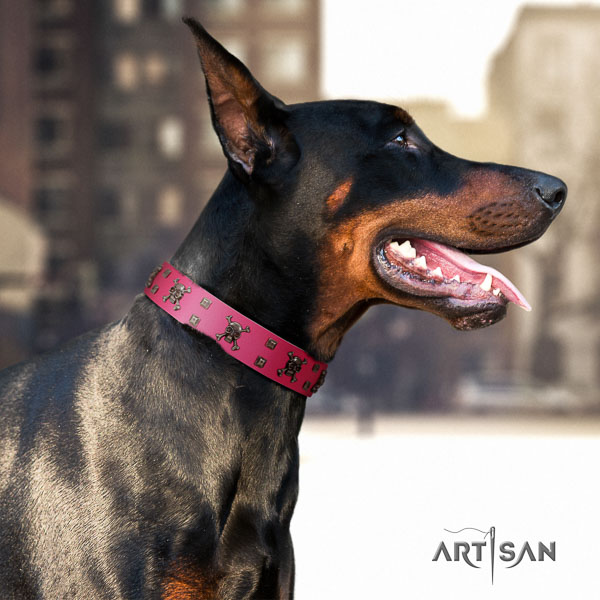 Doberman full grain natural leather dog collar with embellishments for your stylish canine