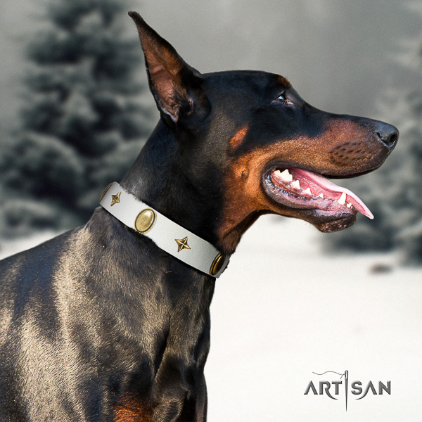 Doberman walking full grain leather collar with exceptional embellishments for your dog
