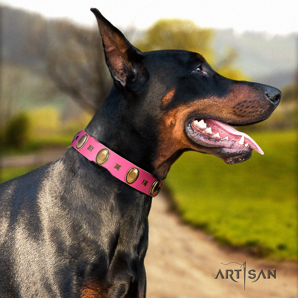 Doberman handy use leather collar with top notch studs for your pet