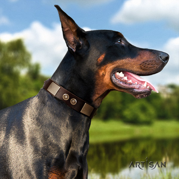 Doberman fancy walking natural leather collar with embellishments for your doggie