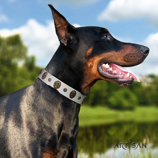 Doberman handy use full grain genuine leather collar with adornments for your pet