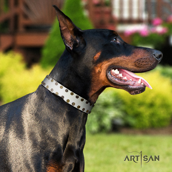 Doberman comfortable wearing full grain leather collar with decorations for your dog