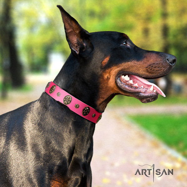 Doberman comfortable wearing leather collar with studs for your four-legged friend
