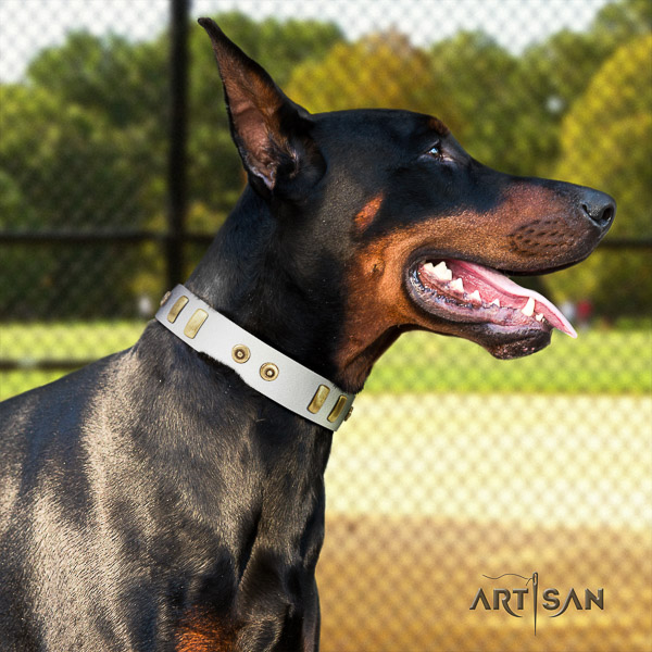 Doberman daily walking full grain leather collar with designer embellishments for your canine