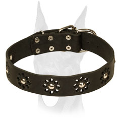 Leather Doberman collar with decoration