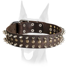 Leather Doberman collar with spikes and studs