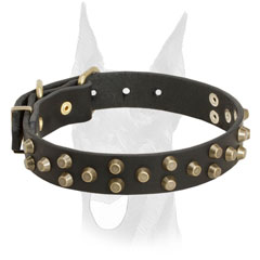 Walking leather Doberman collar with rust proof brass hardware