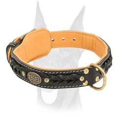 Luxury leather Doberman collar with brass medallion