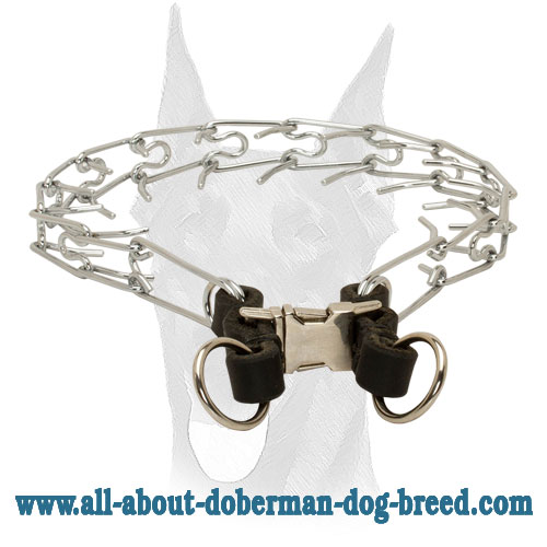 Chrome Plated Doberman Collar Quick Release Buckle