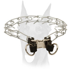 Chrome plated steel Doberman pinch collar