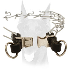 Doberman pinch collar with quick release buckle