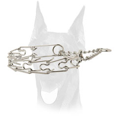 Pinch collar for Doberman behaviour correction