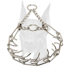 Obedience training pinch collar