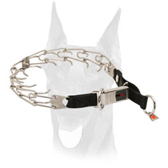 Doberman pinch collar