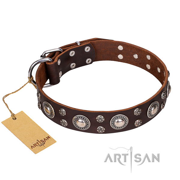 Strong leather dog collar with strong elements