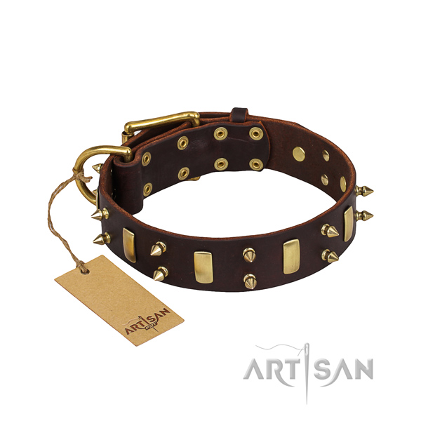 Long-lasting leather dog collar with rust-proof hardware