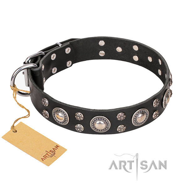 Indestructible leather dog collar with strong elements
