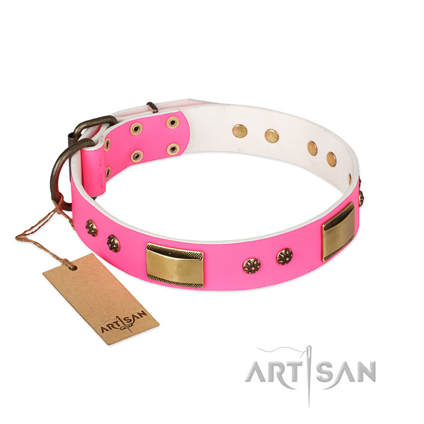 Fashionable design studs on full grain leather dog collar