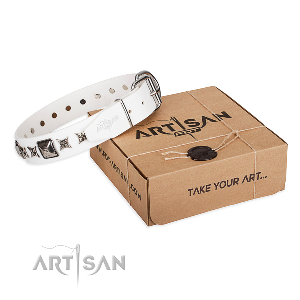 Best quality full grain genuine leather dog collar for stylish walks