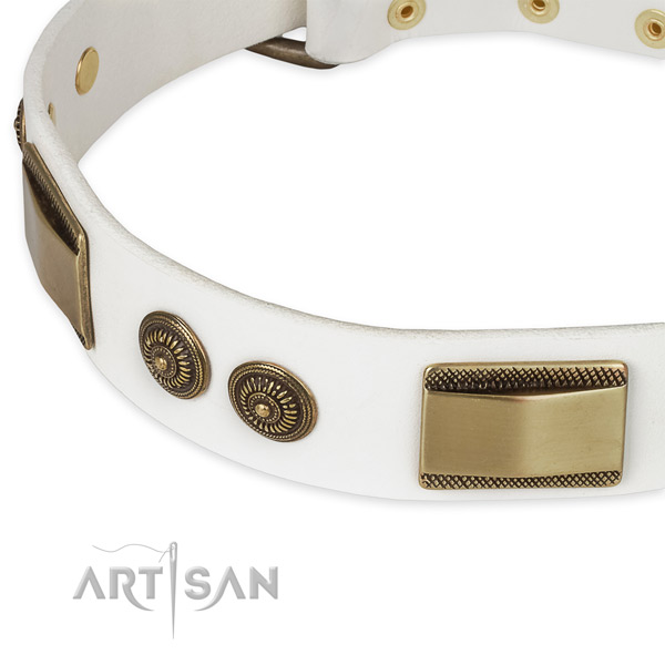 Daily use genuine leather collar with durable buckle and D-ring