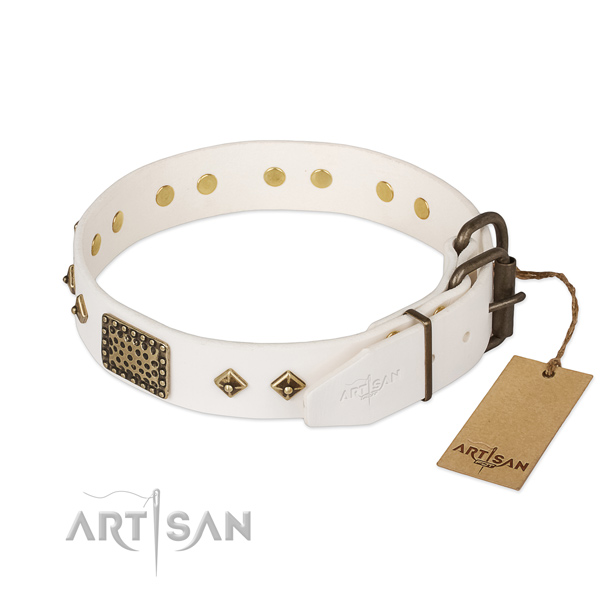 Daily walking full grain leather collar with studs for your dog