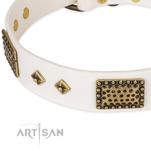 Walking full grain leather collar with durable buckle and D-ring