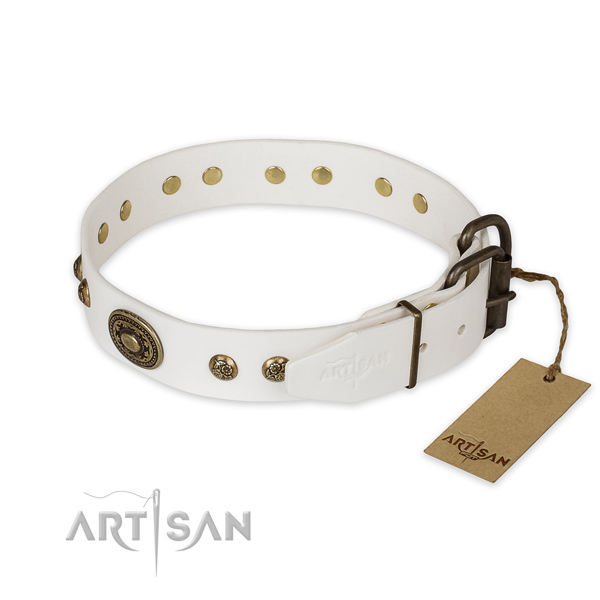 Daily use full grain genuine leather collar with adornments for your doggie