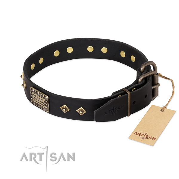 Daily walking full grain natural leather collar with embellishments for your doggie
