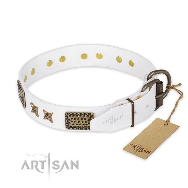 Daily use natural genuine leather collar with adornments for your canine