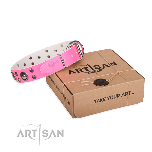 Day-to-day leather dog collar with sensational embellishments