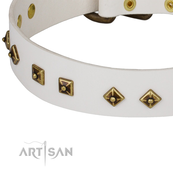 Everyday use full grain natural leather collar with durable buckle and D-ring