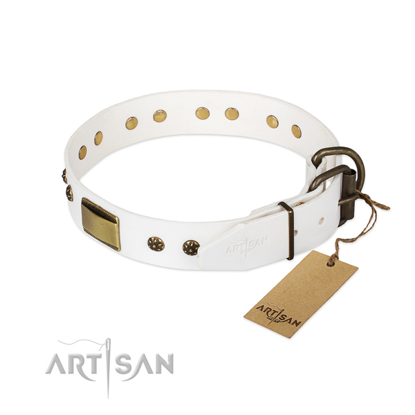 Daily use genuine leather collar with studs for your canine