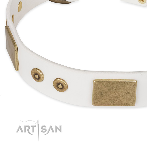 Walking full grain leather collar with reliable buckle and D-ring