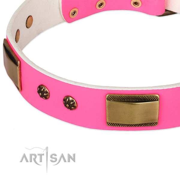 Everyday walking natural genuine leather collar with strong buckle and D-ring