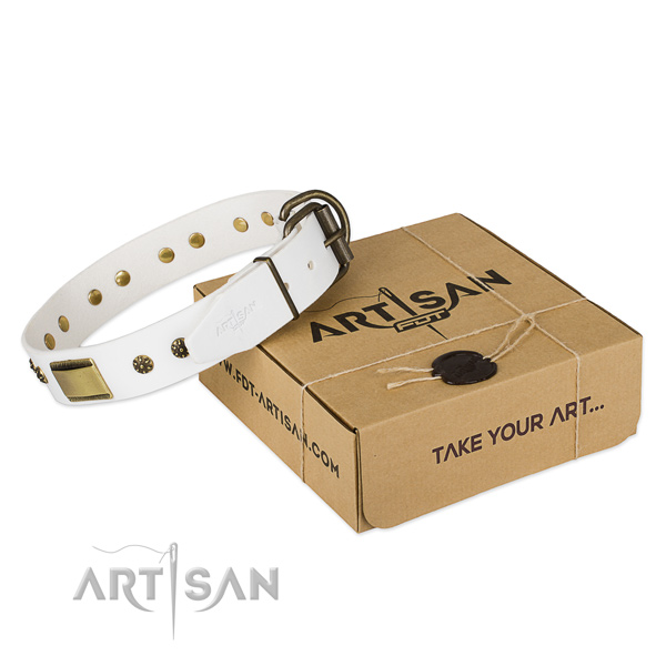 Trendy full grain leather dog collar for daily walking