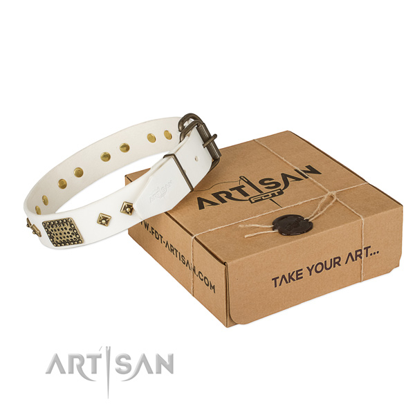Trendy leather dog collar for daily use