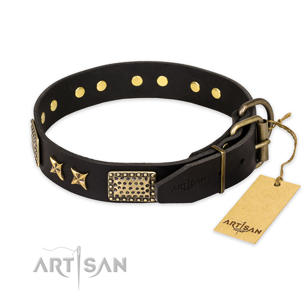 Everyday walking leather collar with decorations for your dog