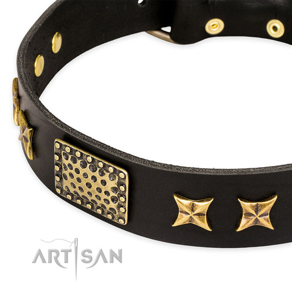 Quick to fasten leather dog collar with extra sturdy rust-proof buckle