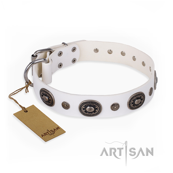 Top notch design studs on full grain natural leather dog collar