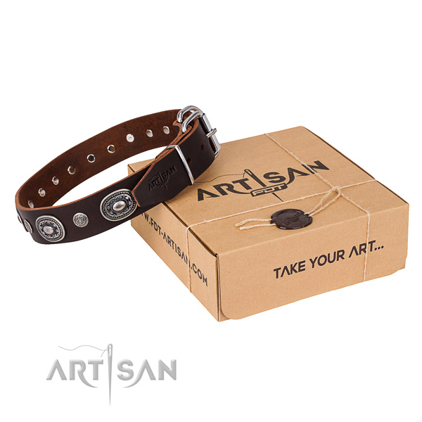 Incredible full grain genuine leather dog collar for stylish walking
