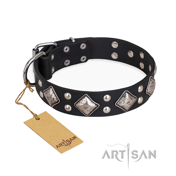Stunning design embellishments on genuine leather dog collar