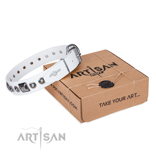 Designer full grain natural leather dog collar for stylish walks