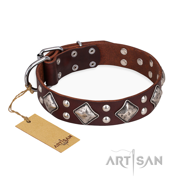Top notch design decorations on genuine leather dog collar