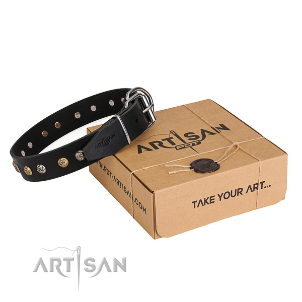 Trendy genuine leather dog collar for walking