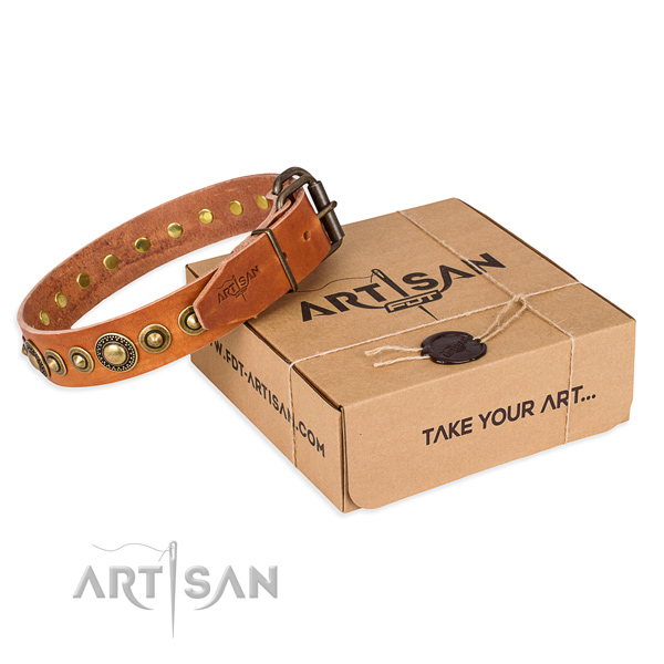 Finest quality genuine leather dog collar for daily walking