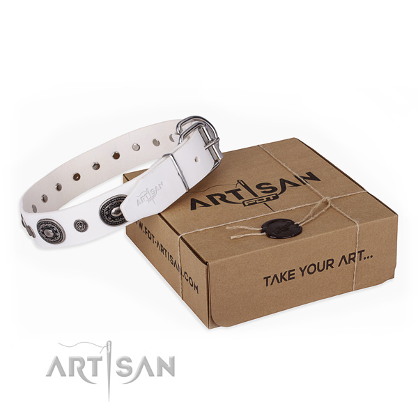 Awesome genuine leather dog collar for everyday use