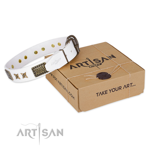 Designer genuine leather dog collar for walking in style